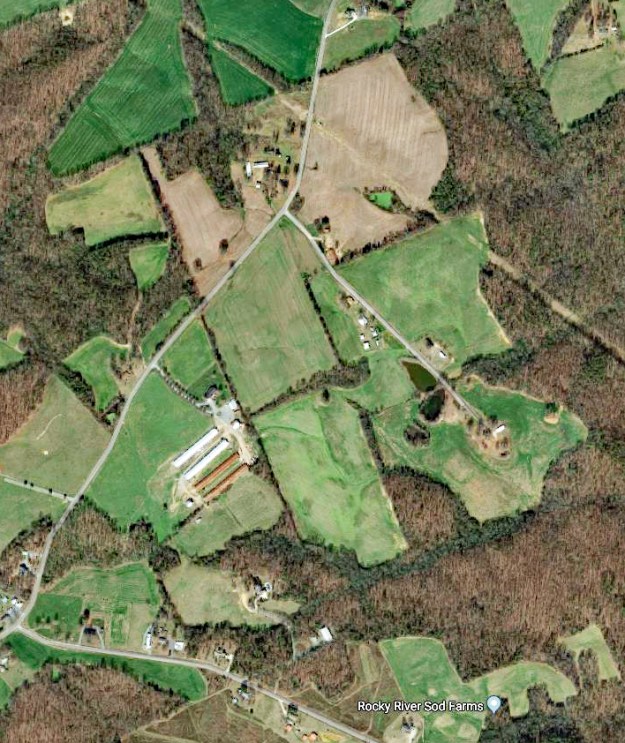 morris gurley google