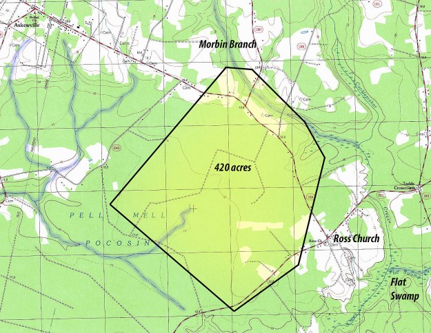 Windsor North, NC, 1:24,000 quad, 1981, USGS