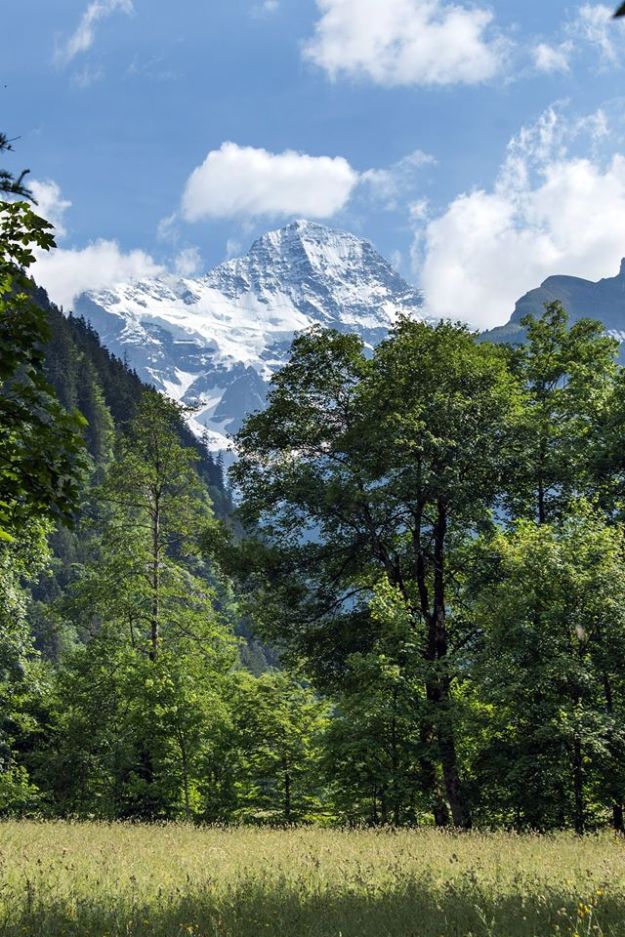 34481514_1564335553688533_2852566889723330560_o