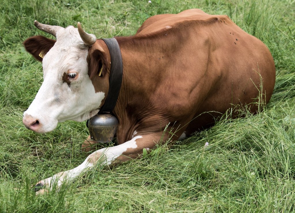 34599691_1564323940356361_6925477822400036864_o