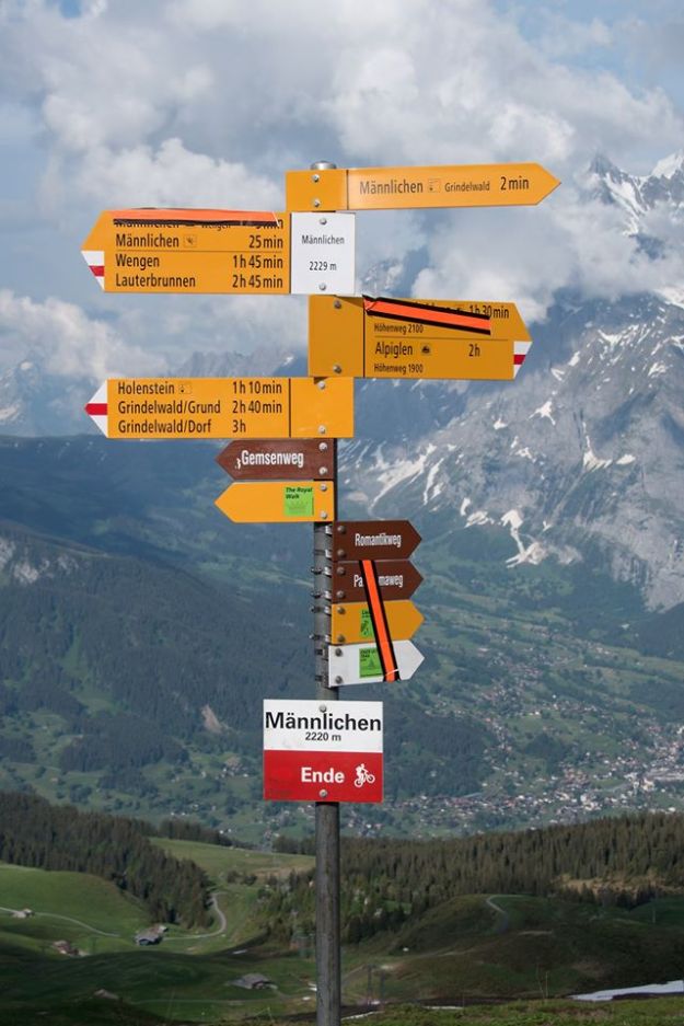 34603328_1564324670356288_318356853018853376_o